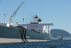 ≪連載≫再編進むタンカー業界<上>/VLCC、新興勢力巻き込み集約